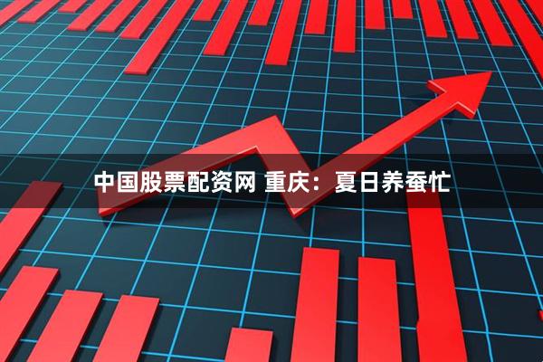 中国股票配资网 重庆：夏日养蚕忙